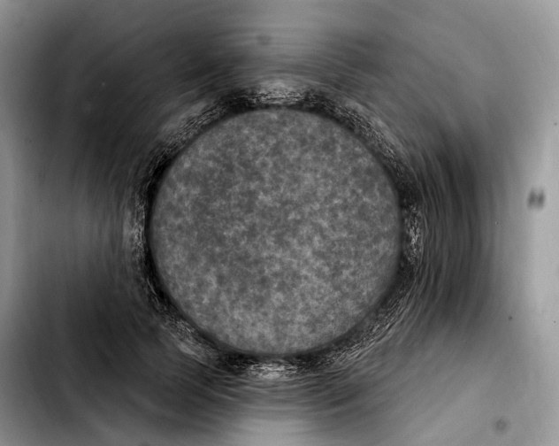 X0000103950745200810101438