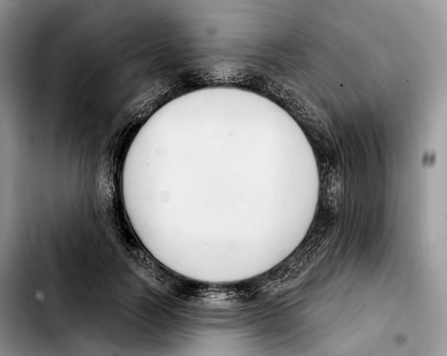 X0000103950746200810101438