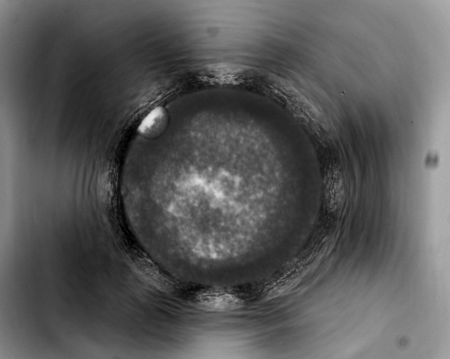 X0000103950747200810101438