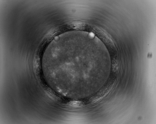 X0000103950748200810101438