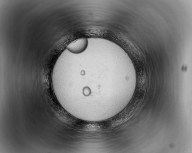 X0000103950749200810101438