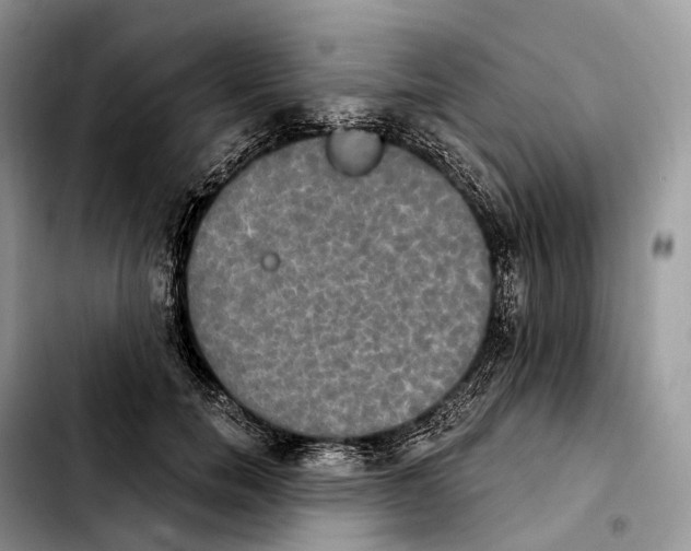 X0000103950750200810101438