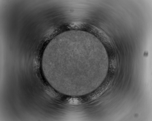 X0000103950751200810101438