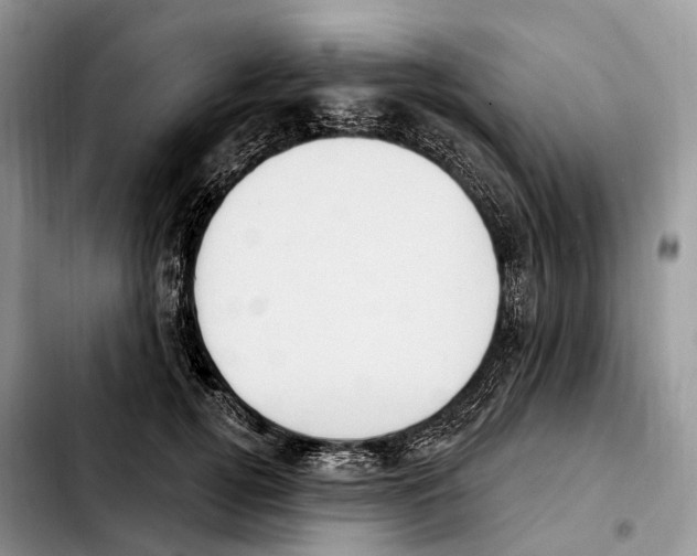 X0000103950752200810101438