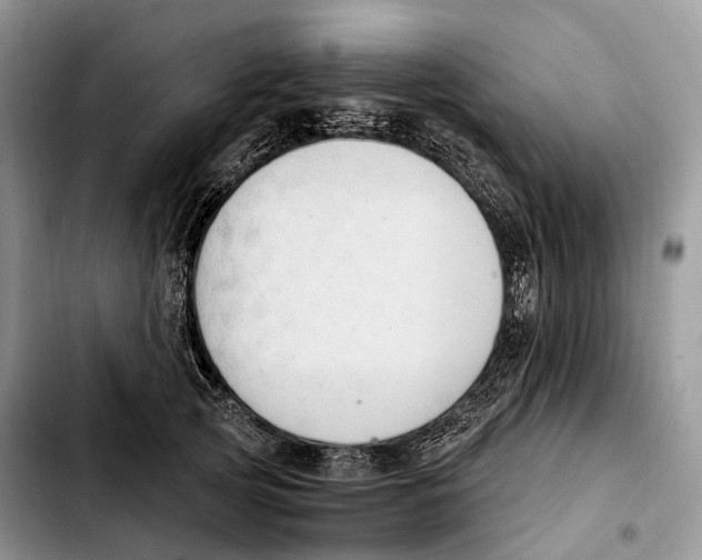 X0000103950753200810101438