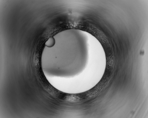 X0000103950754200810101438