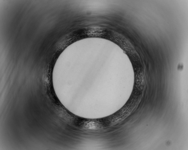 X0000103950755200810101438