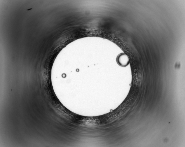 X0000103950756200810101438