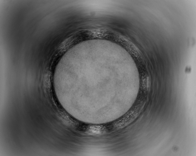 X0000103950757200810101438