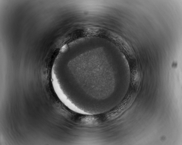 X0000103950759200810101438