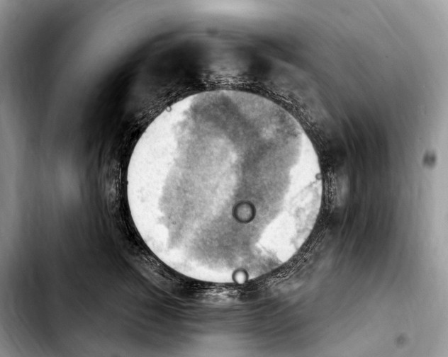 X0000103950760200810101438