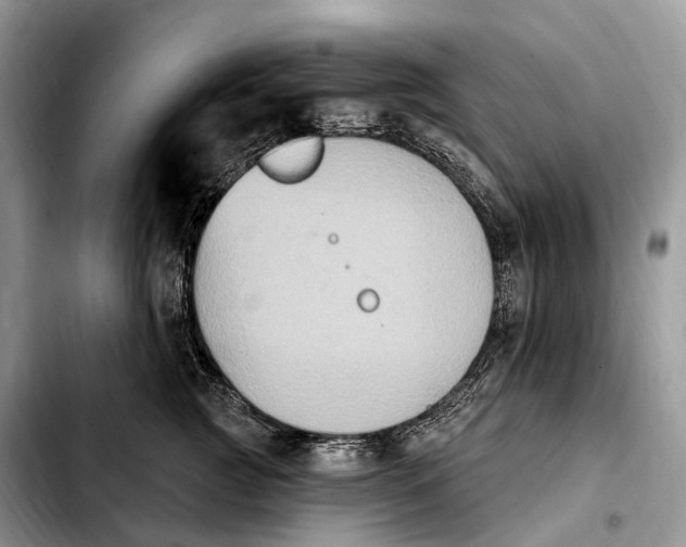 X0000103950761200810101438