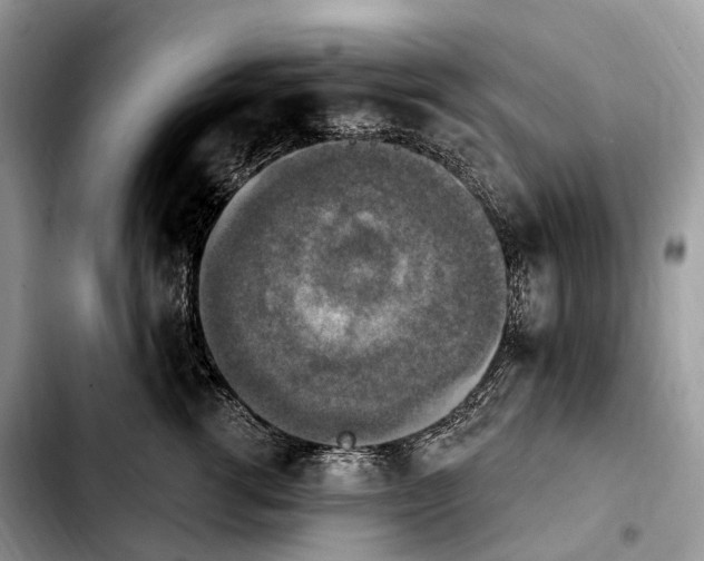 X0000103950762200810101438