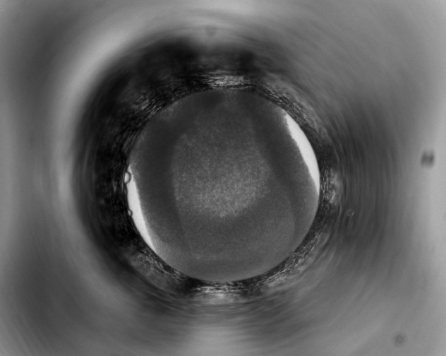 X0000103950763200810101438