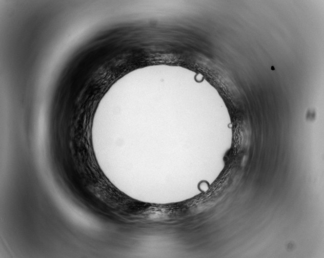 X0000103950764200810101438