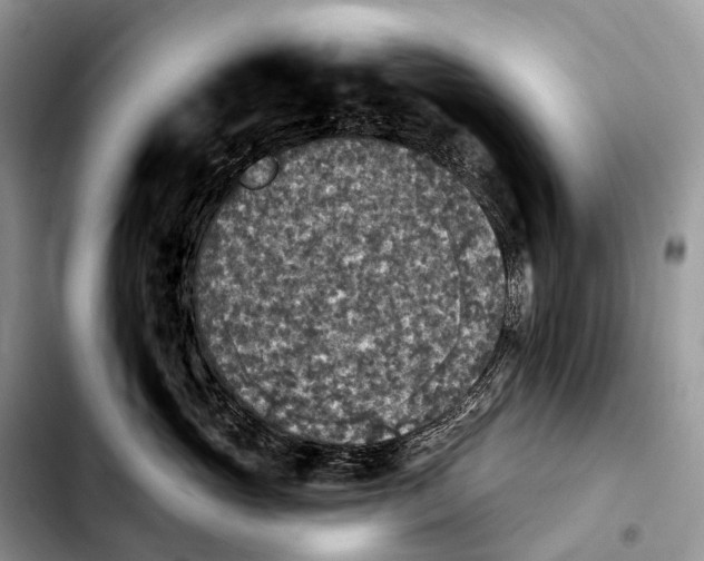 X0000103950765200810101438