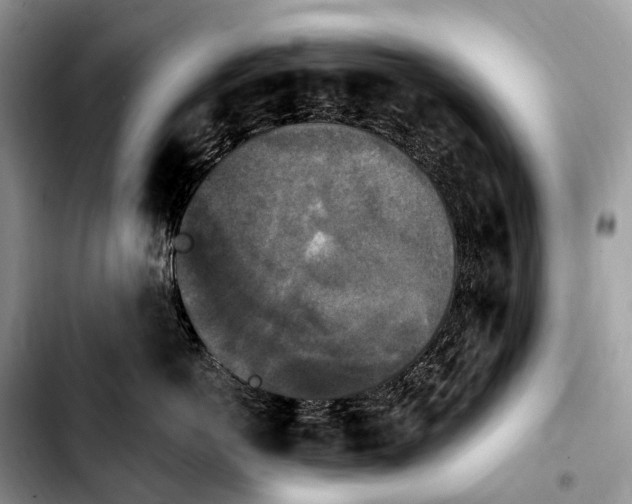 X0000103950766200810101438