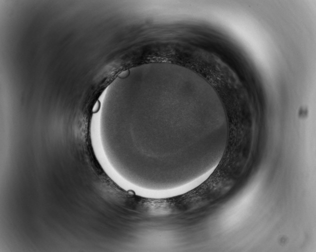 X0000103950767200810101438