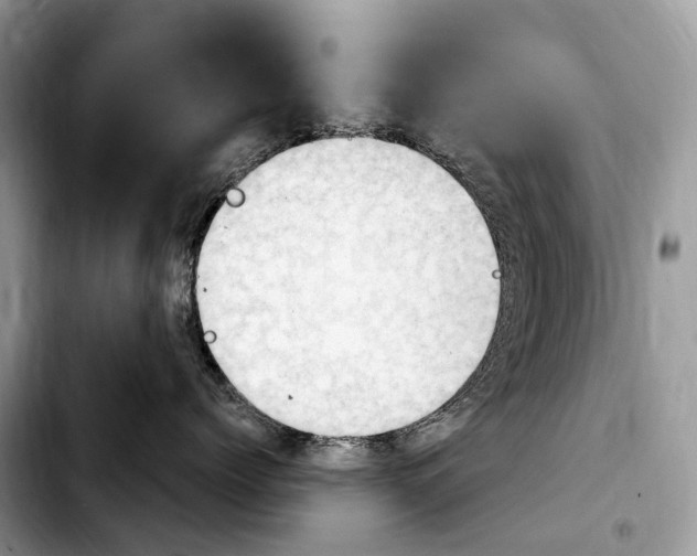 X0000103950768200810101438