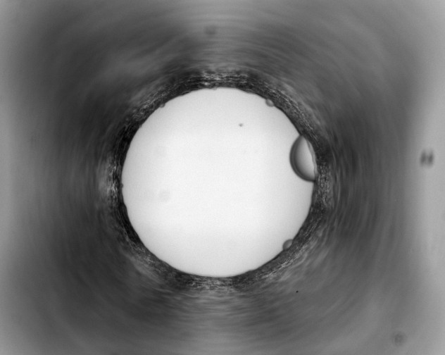 X0000103950770200810101437