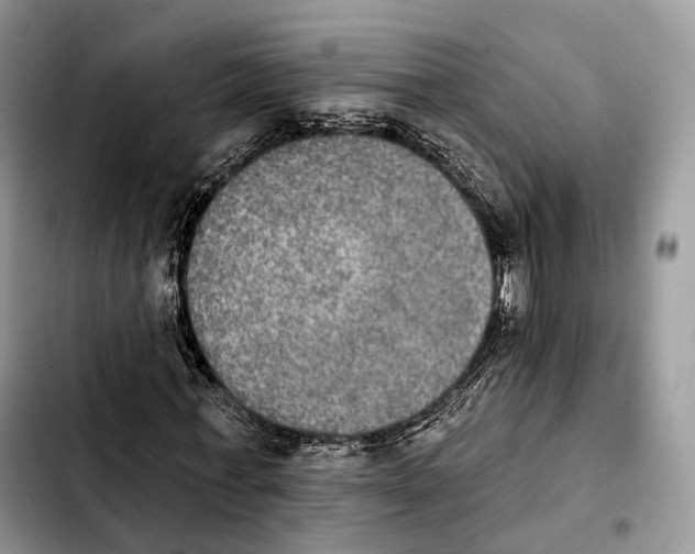 X0000103950771200810101437