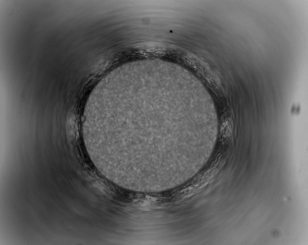 X0000103950772200810101437