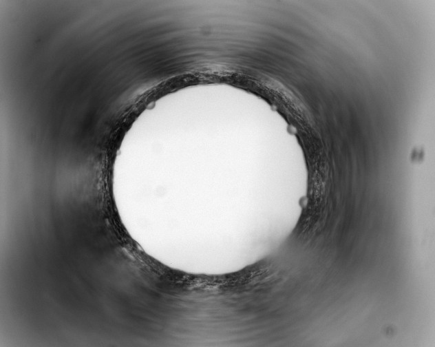 X0000103950773200810101437