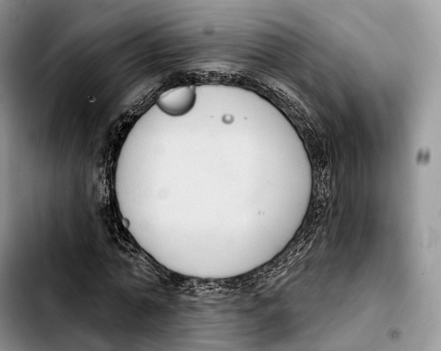 X0000103950774200810101437