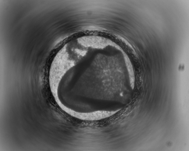 X0000103950775200810101437