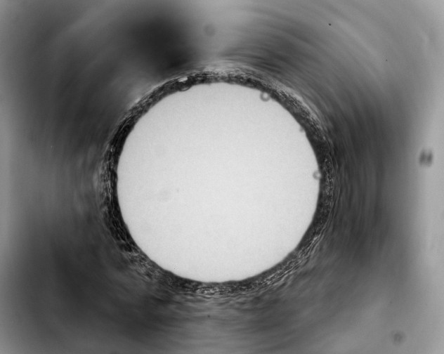 X0000103950776200810101437