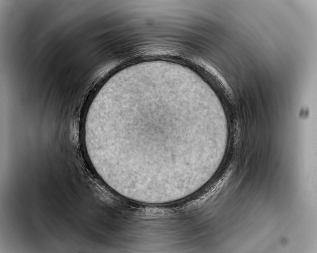 X0000103950777200810101437