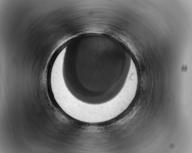 X0000103950779200810101437