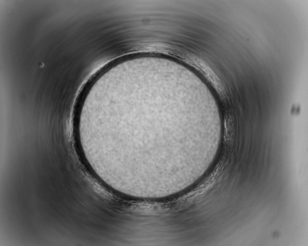 X0000103950780200810101437