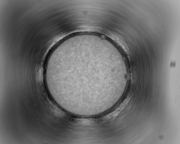 X0000103950781200810101437