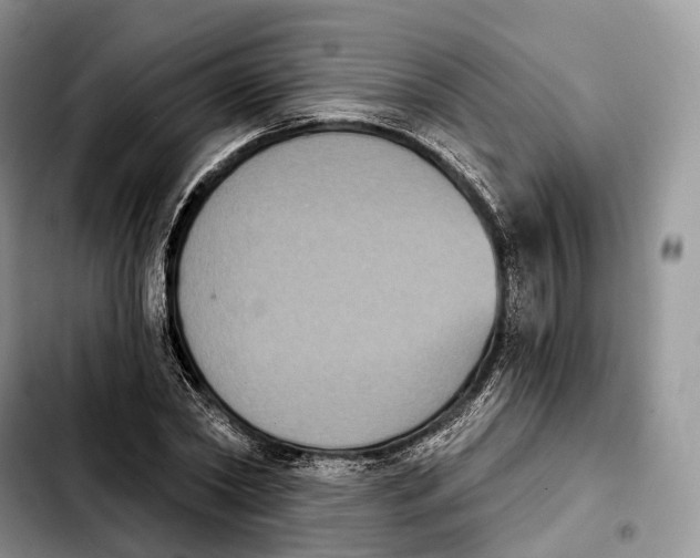 X0000103950782200810101437