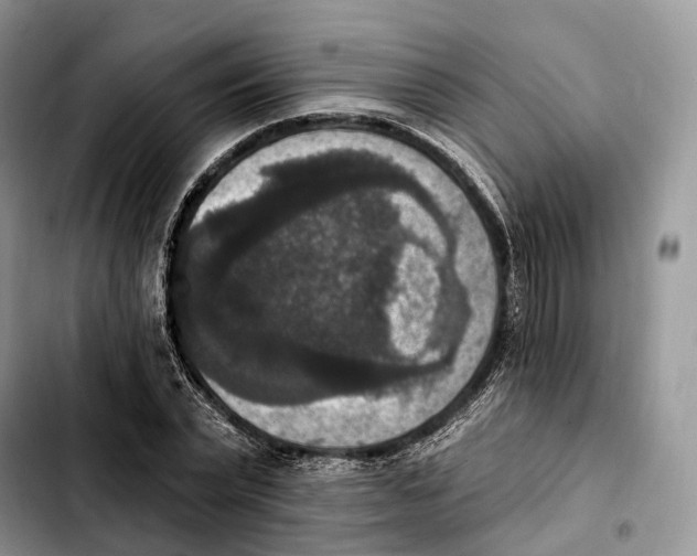 X0000103950783200810101437