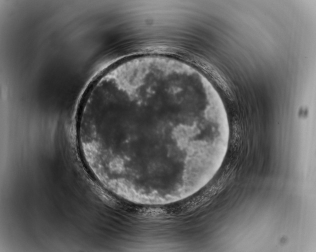 X0000103950784200810101437