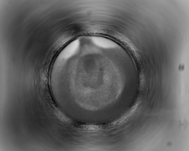 X0000103950785200810101437