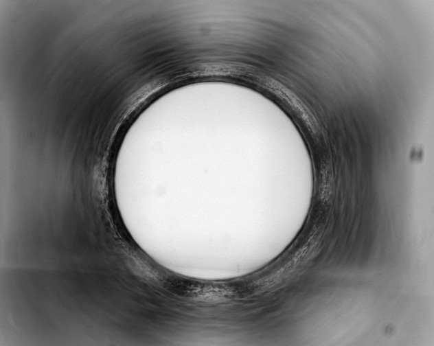 X0000103950786200810101437