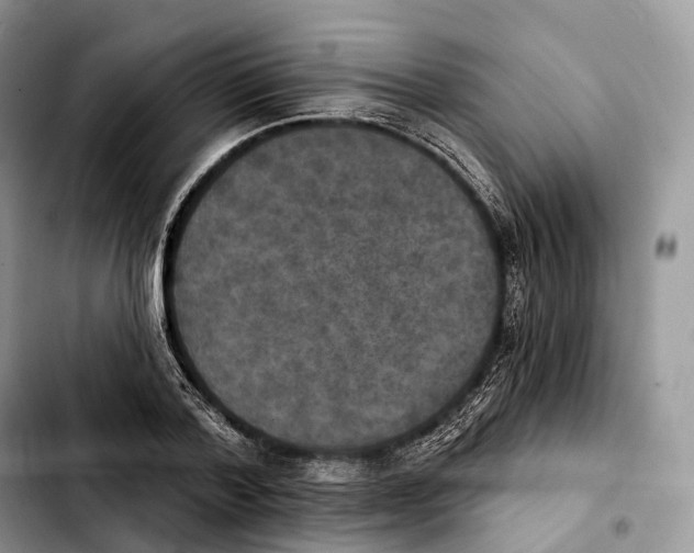 X0000103950788200810101437