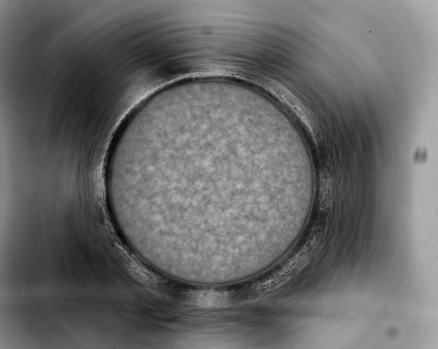 X0000103950789200810101437