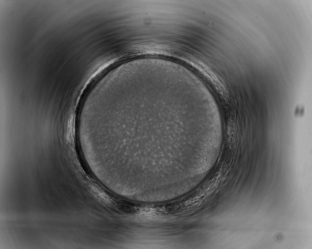 X0000103950790200810101437