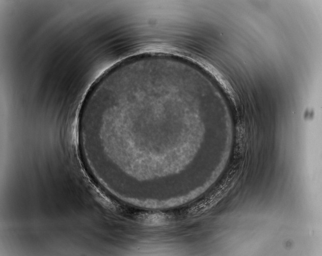 X0000103950791200810101437