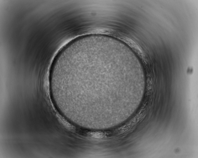 X0000103950792200810101437