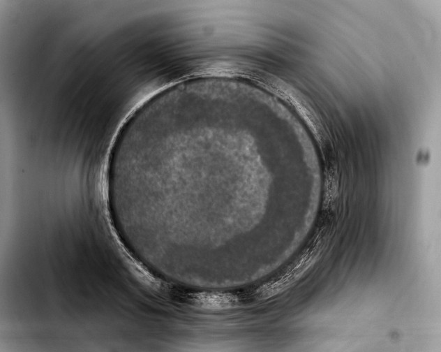 X0000103950795200810101437