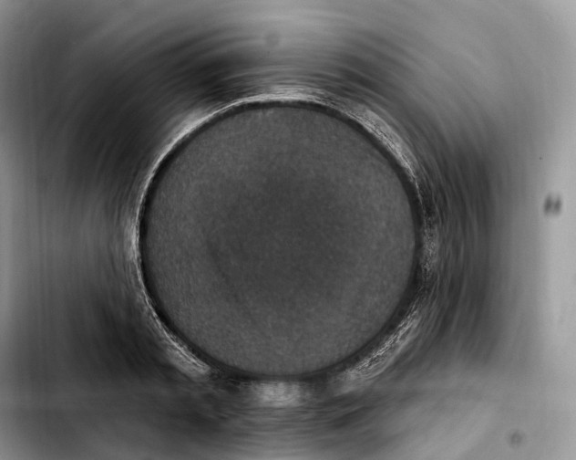 X0000103950797200810101437