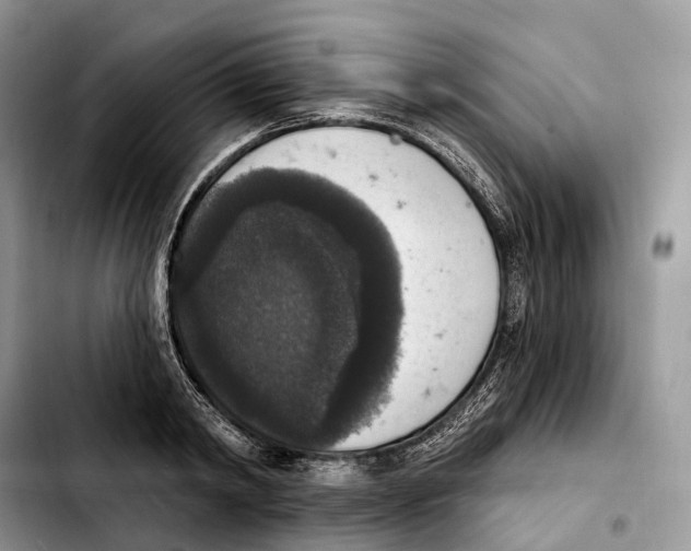 X0000103950798200810101437