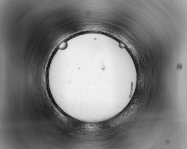 X0000103950799200810101437