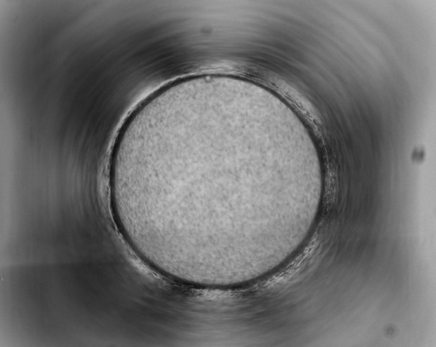 X0000103950800200810101437