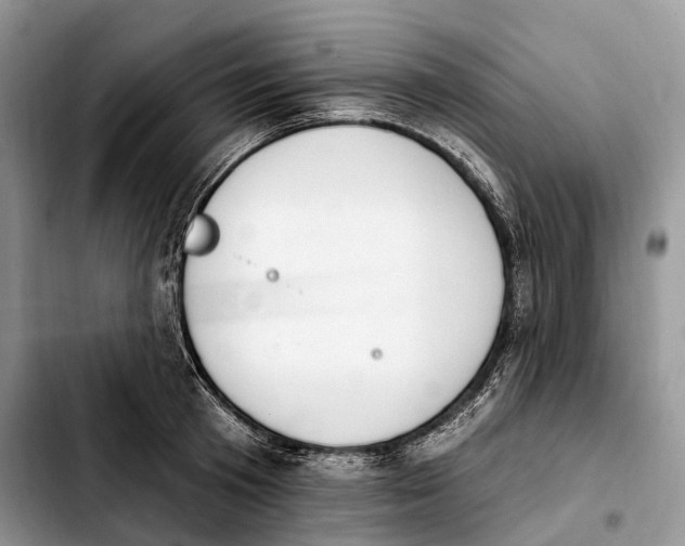 X0000103950801200810101437